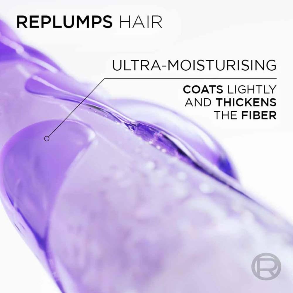 L'Oreal Paris Hyaluron Moisture 72HR Moisture Filling Shampoo with Hyaluronic Acid, for Dry Hair - packaging
