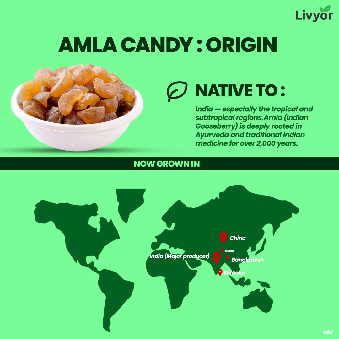 LIVYOR Dried Amla Candy, 1kg, Indian Gooseberry Candy, Sweet and Tangy Fruit Snack, No Preservatives - back view