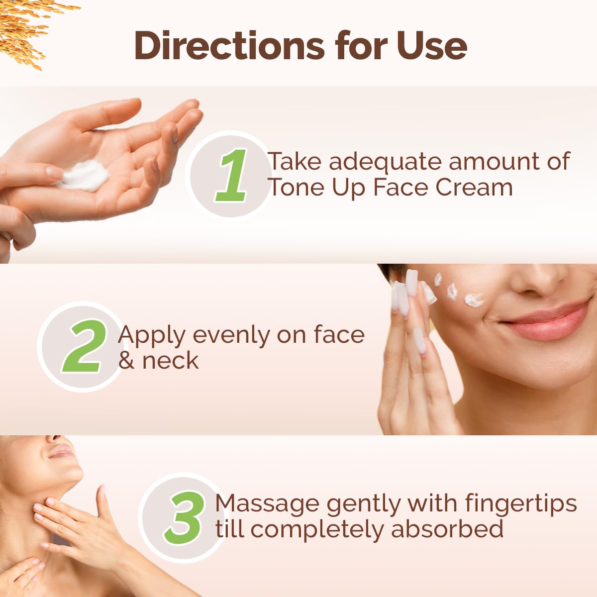 Mamaearth Rice Water Face Cream with Niacinamide, 50g, Face Moisturizer - ingredients panel