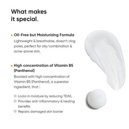 Minimalist Vitamin B5 10% Oil-Free Gel Moisturizer, Lightweight Face Moisturizer for Oily & Combination Skin - label detail