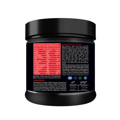 Muscle Performance Anabolic Mass Gainer Powder, 40g Protein, 1164 Calories, Vegetarian, European Whey, Adult Supplement - in 