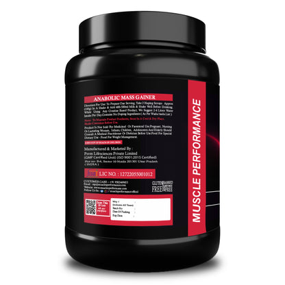 Muscle Performance Anabolic Mass Gainer Powder, 40g Protein, 1164 Calories, Vegetarian, European Whey, Adult Supplement - in