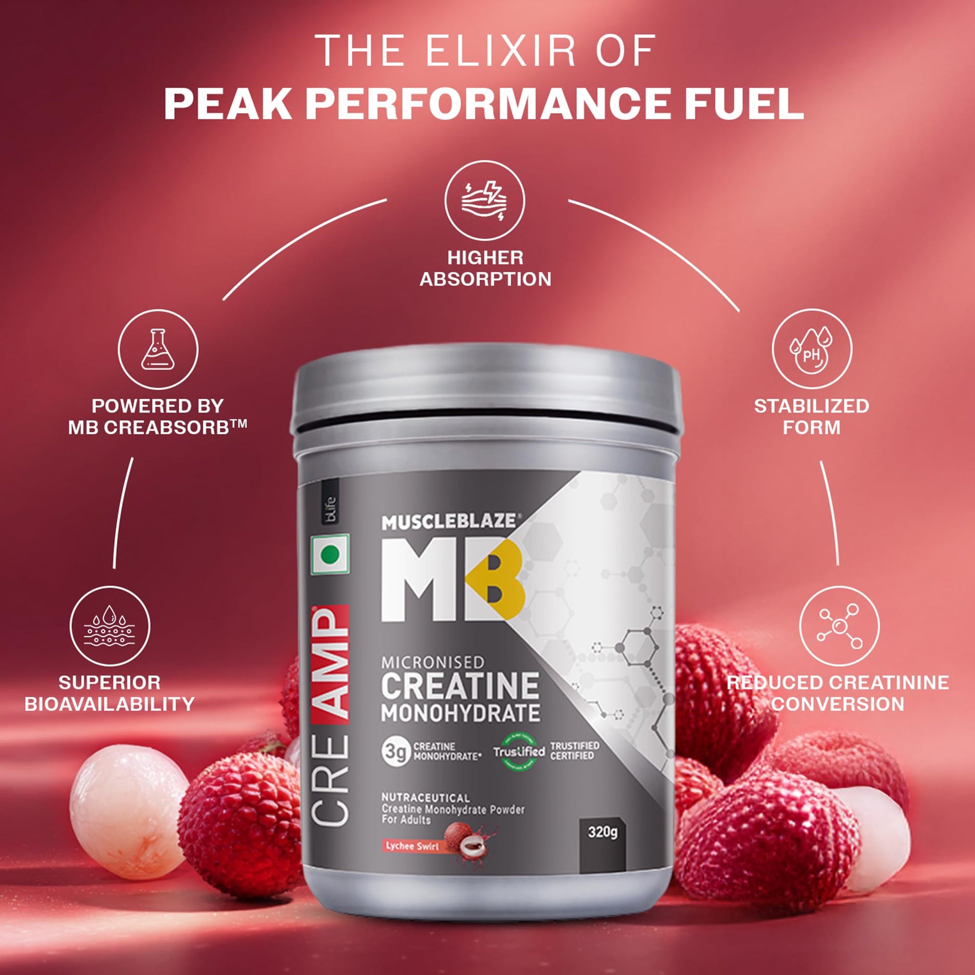 MuscleBlaze CreAMP Micronised Creatine Monohydrate Powder, 4g Per Serving, Adult Unisex Nutritional Supplement - back view