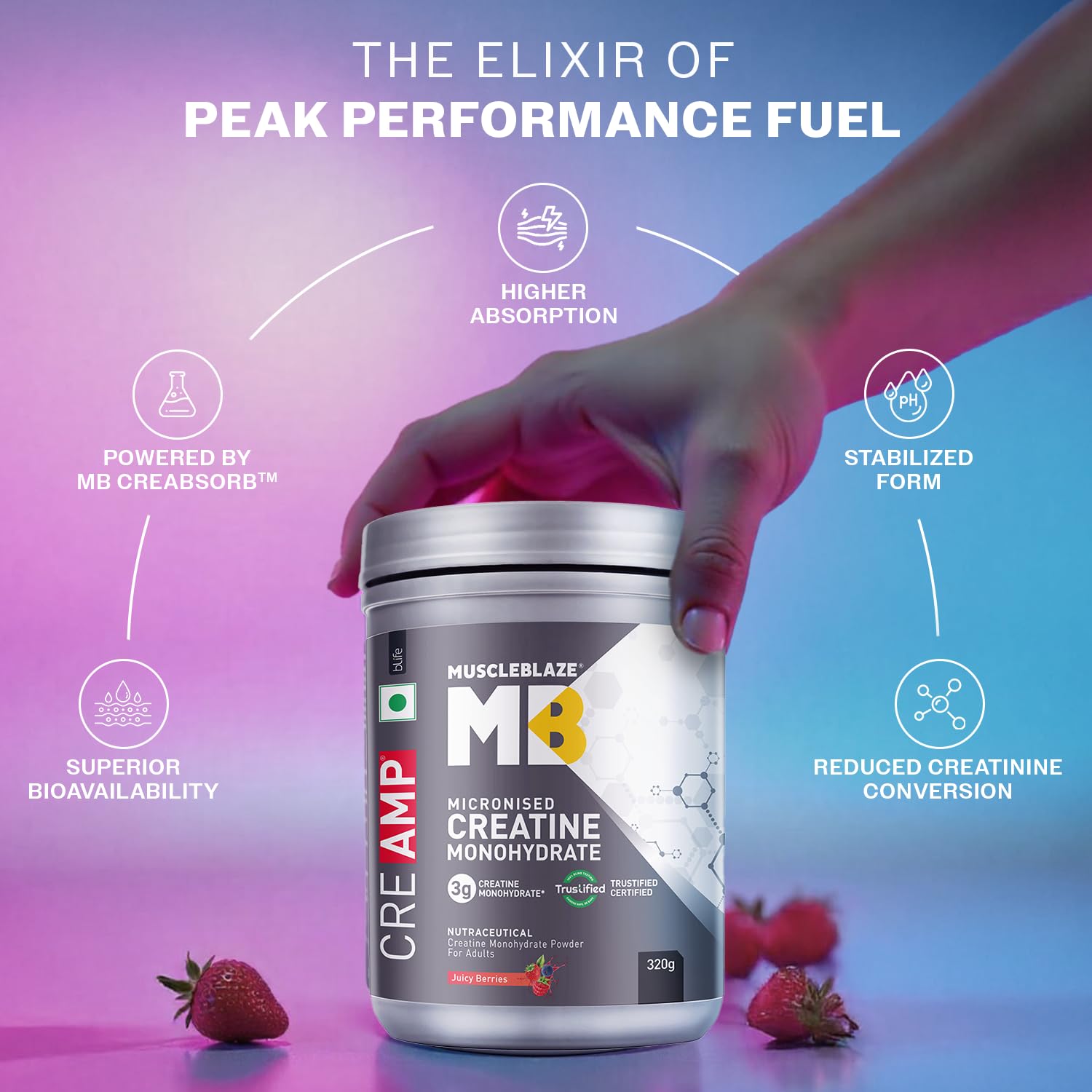MuscleBlaze Micronised Creatine Monohydrate CreAMP Powder, 320g, Unisex Adult Supplement - back view
