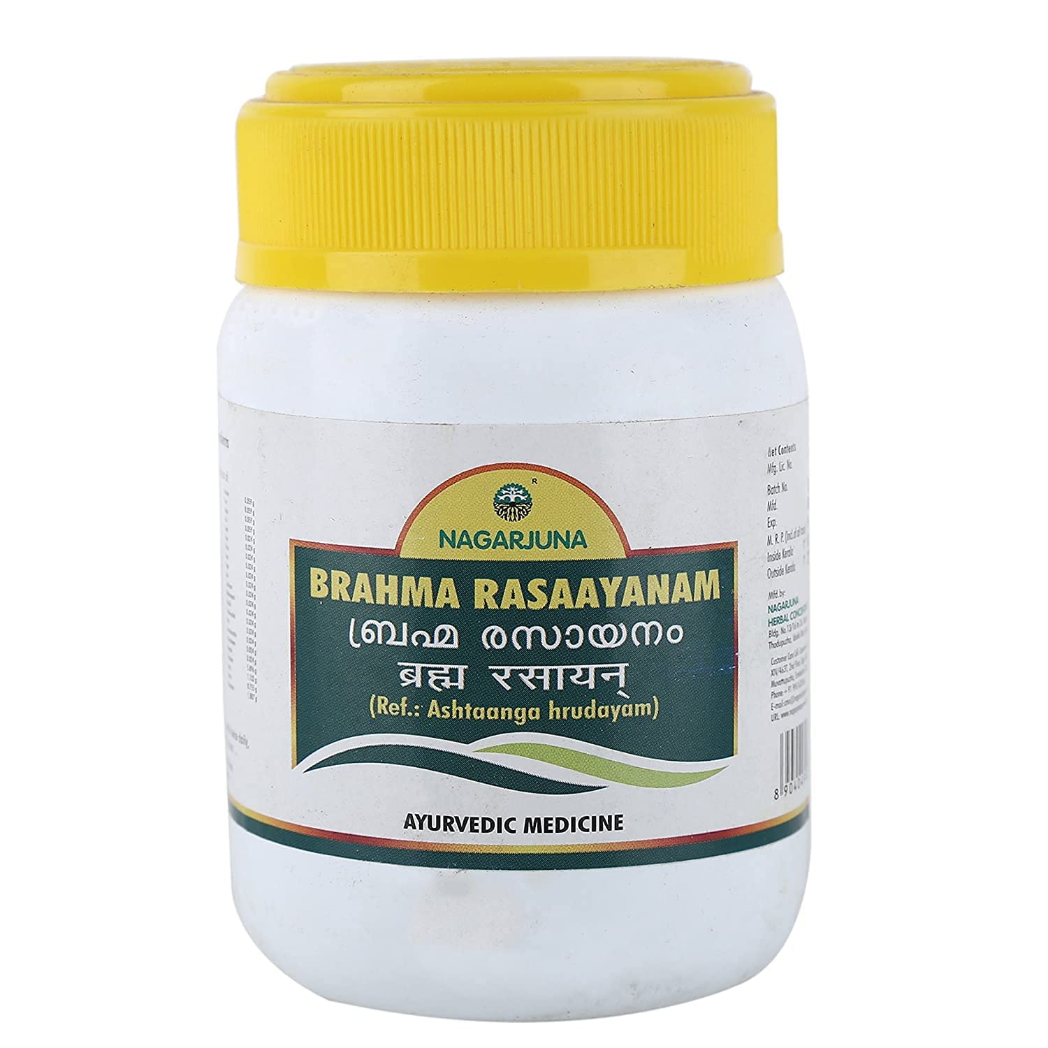 NAGARJUNA Ayurveda Brahma Rasaayanam, 300g, Herbal Supplement for Adults