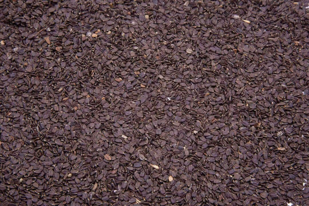 Namo Organics Mahabeera Seeds, 400g, Sortex Cleaned Herbal Seed - packaging