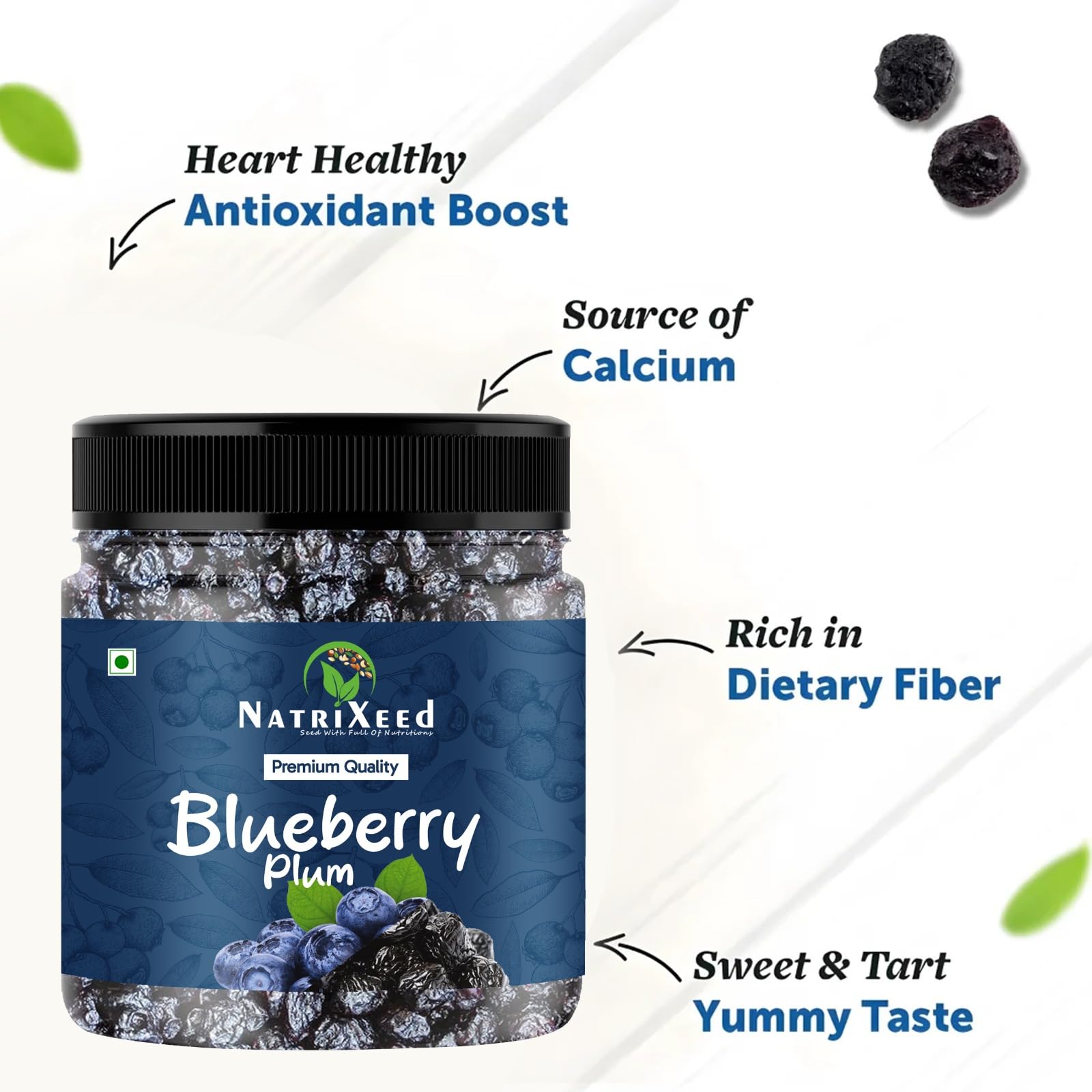 NatriXeed Blueberry Plum Dry Fruits | Naturally Sweet, Fresh & Juicy | Rich in Fiber, Minerals & Vitamins | Tasty & Healthy S