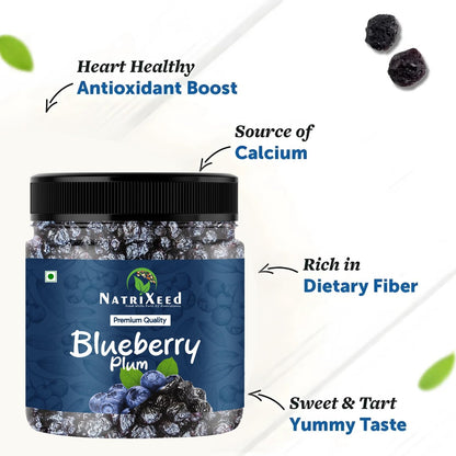 NatriXeed Blueberry Plum Dry Fruits | Naturally Sweet, Fresh & Juicy | Rich in Fiber, Minerals & Vitamins | Tasty & Healthy S