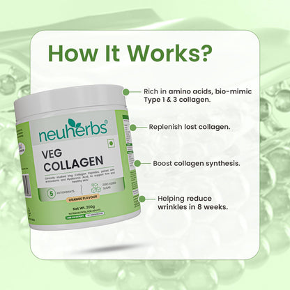 Neuherbs Veg Collagen Supplement Combo, Orange Flavor, 200g Powder & 30 Capsules, Vegan Formula - ingredients panel (13)
