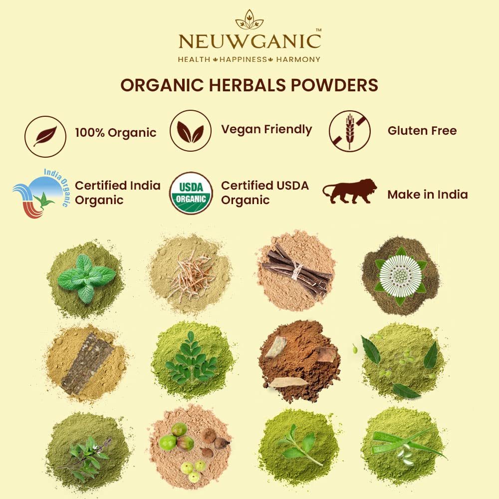 Neuwganic Organic Amla Powder, USDA & India Organic Certified, Emblica Officinalis Fruit Powder, Powder - close-up detail (19