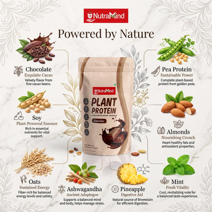 NutraMind Plant Protein Powder Chocolate 500g, 26g Protein Per Serving, Vegan, Dairy-Free, Lactose-Free - in use