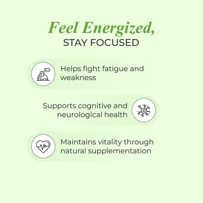 NUTRELA Vitamin B12 Biofermented Plant Based Supplement, with Moringa and Aloe Vera, 30 Veg Capsules - label detail