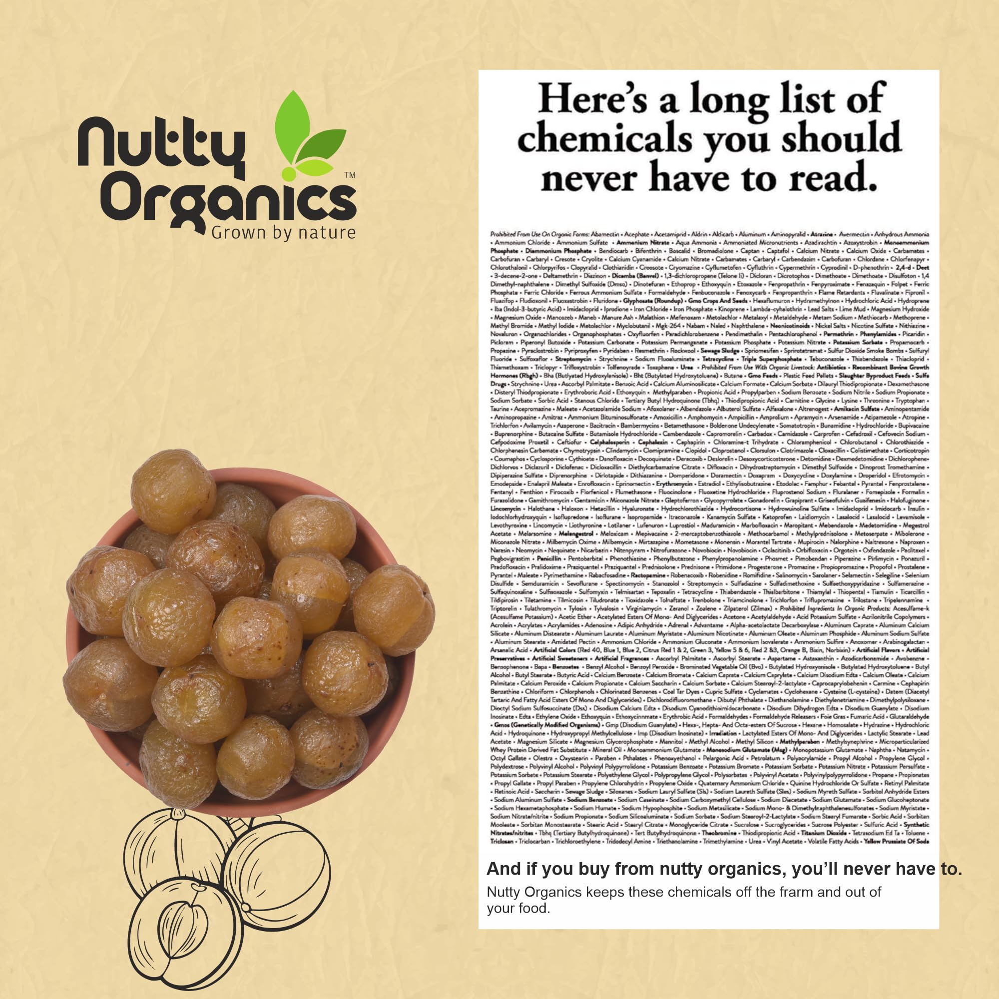 NUTTY ORGANICS Dried Amla Murabba, 500g, Indian Gooseberry Preserve, Natural Sweet Snack - front view