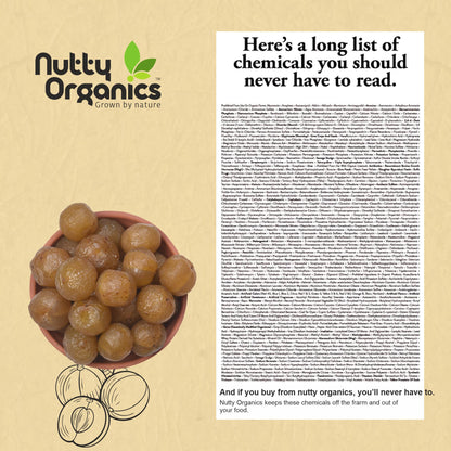 NUTTY ORGANICS Dried Amla Murabba, 500g, Indian Gooseberry Preserve, Natural Sweet Snack - front view