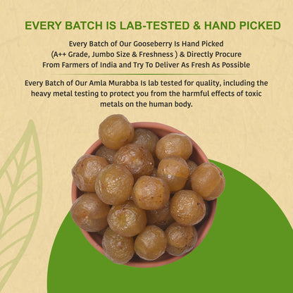 NUTTY ORGANICS Dried Amla Murabba, 500g, Indian Gooseberry Preserve, Natural Sweet Snack - back view