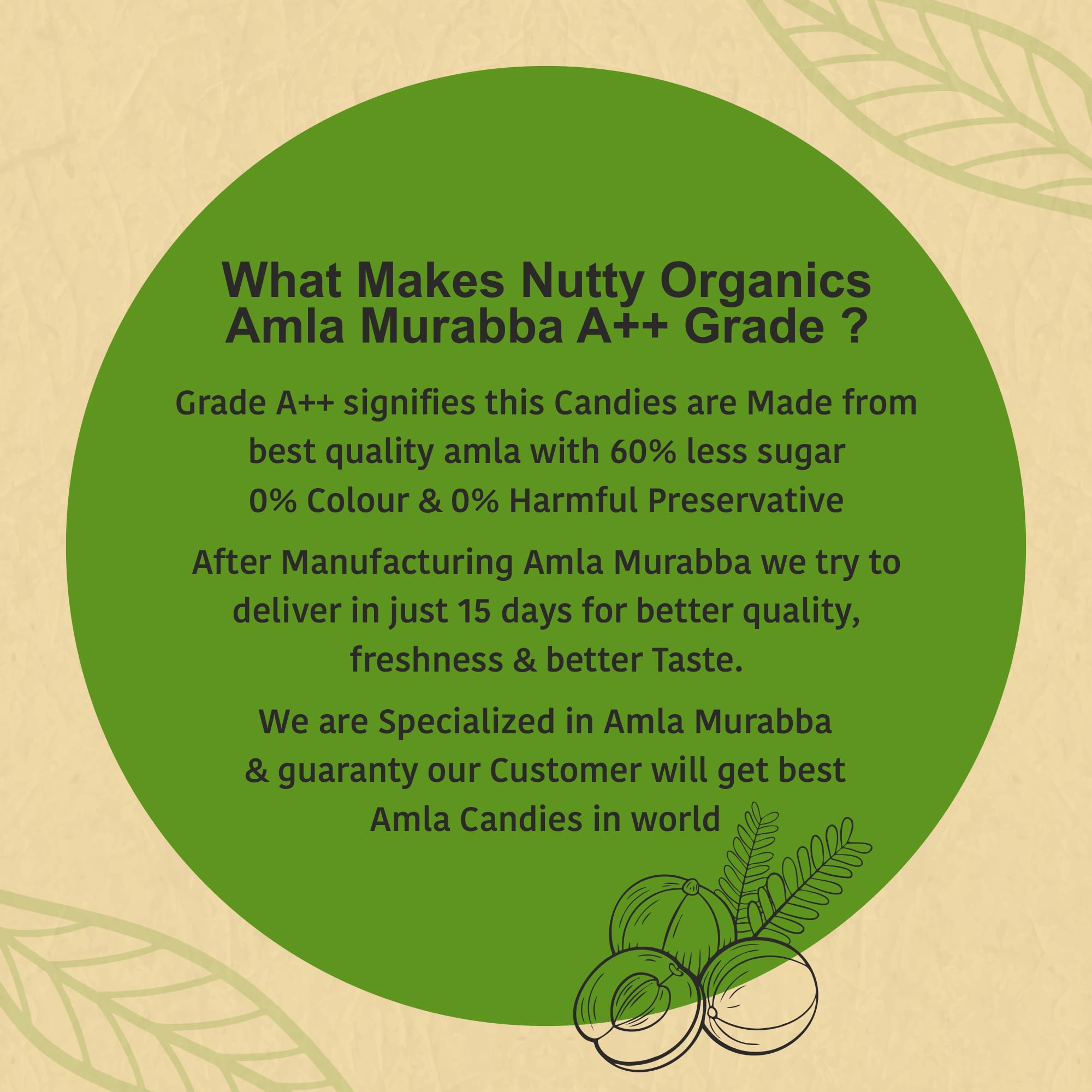 NUTTY ORGANICS Dried Amla Murabba, 500g, Indian Gooseberry Preserve, Natural Sweet Snack - packaging