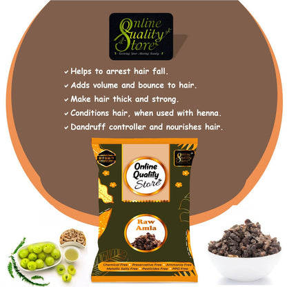 Online Quality Store Dried Amla, 250g, Indian Gooseberry Fruit for Hair and Skin Care - packaging (12)