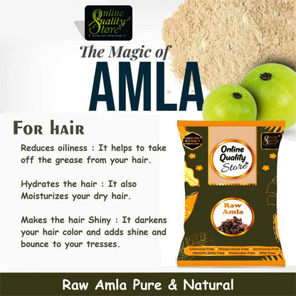 Online Quality Store Dried Amla, 250g, Indian Gooseberry Fruit for Hair and Skin Care - ingredients panel (14)