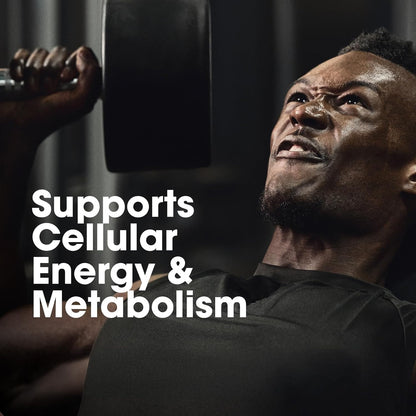 Optimum Nutrition Multivitamin for Men, 60 Tablets, 26 Vitamins & Minerals, Amino Acids, Antioxidants - close-up detail