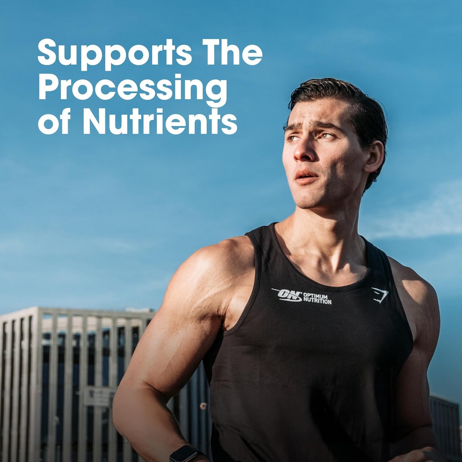 Optimum Nutrition Multivitamin for Men, 60 Tablets, 26 Vitamins & Minerals, Amino Acids, Antioxidants - in use