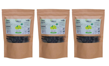 Organic Anand Dried Amla Candy, Indian Gooseberry Snack with Salt, Sugar, Masala (14)