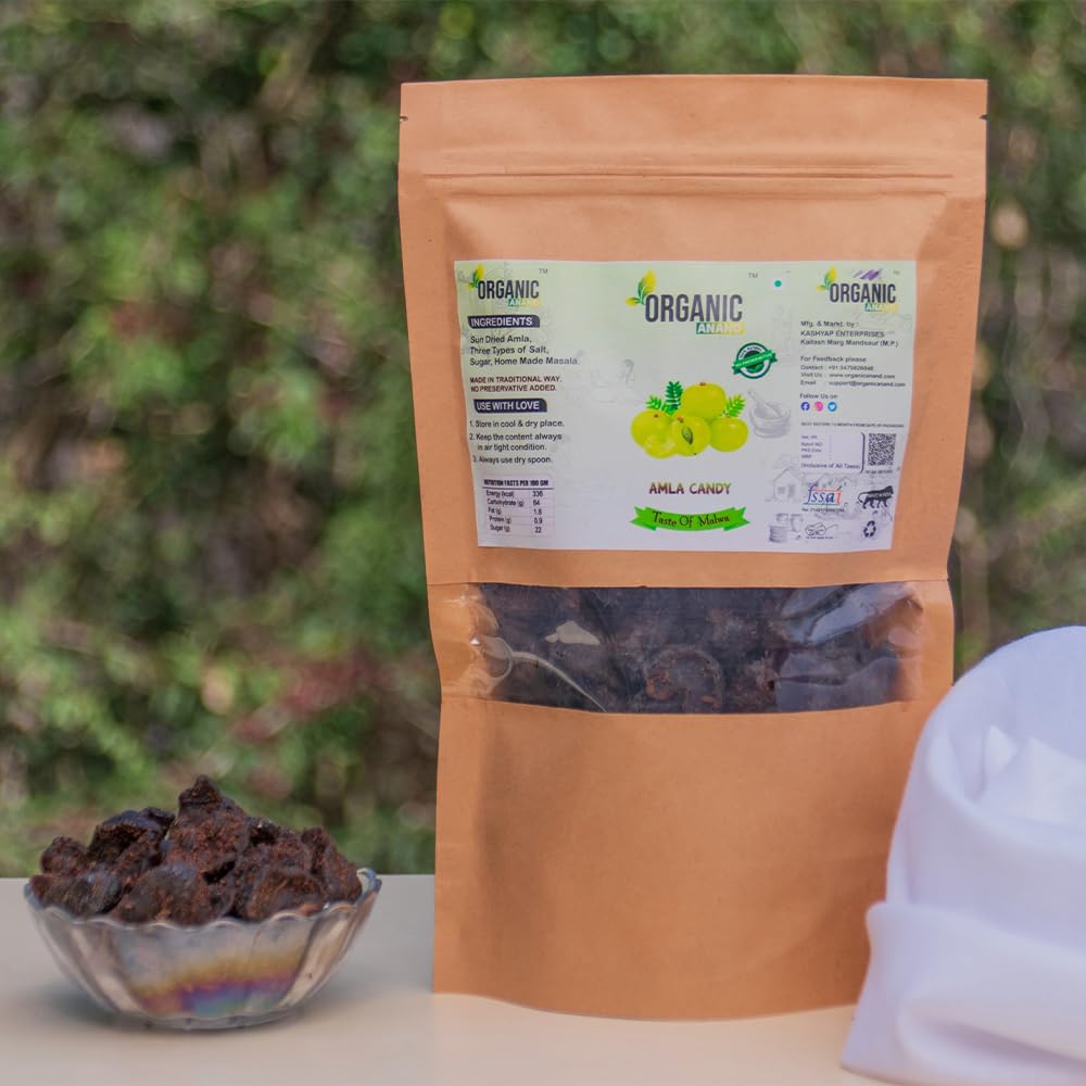 Organic Anand Dried Amla Candy, Indian Gooseberry Snack with Salt, Sugar, Masala - front view (15)