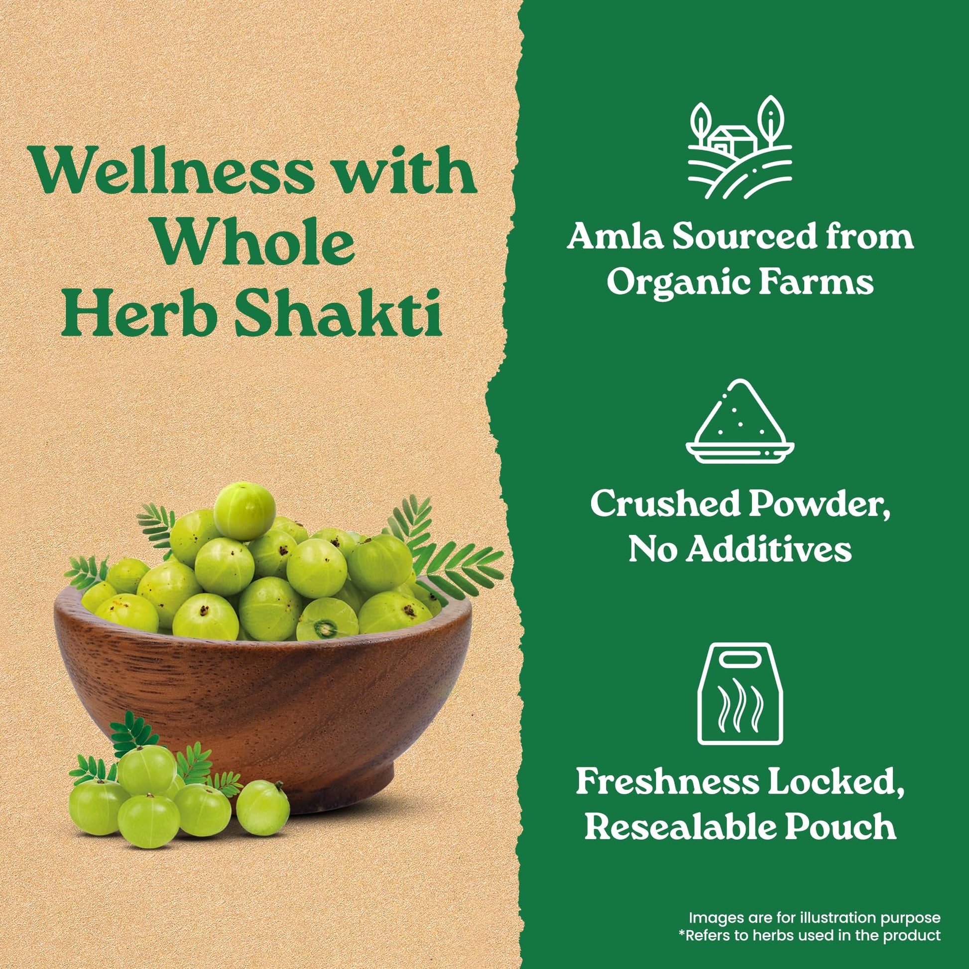 ORGANIC INDIA Amla Powder, 200g, Certified Organic Herbal Supplement - front view