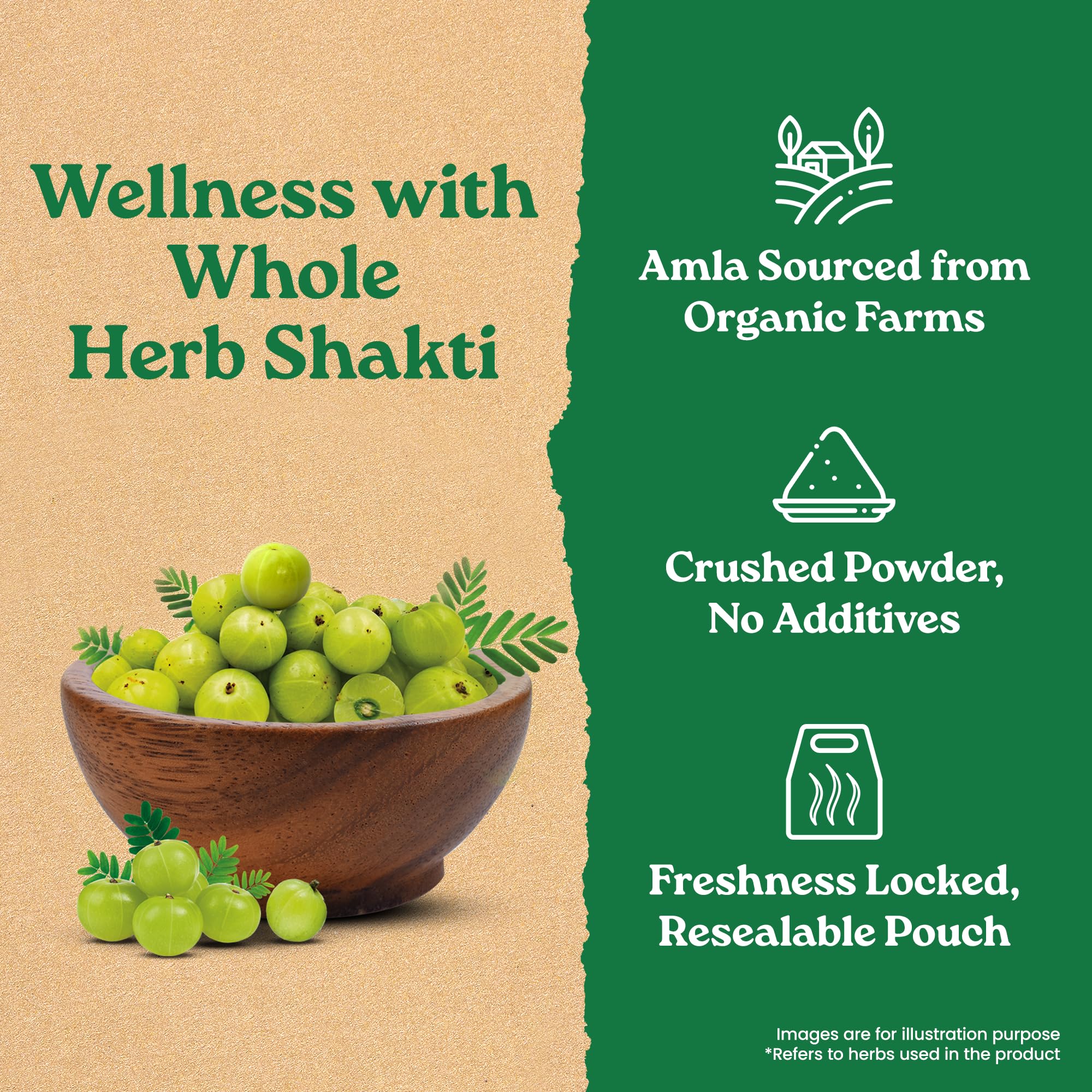 ORGANIC INDIA Amla Powder, 200g, Certified Organic Herbal Supplement - front view