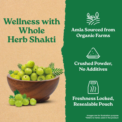 ORGANIC INDIA Amla Powder, 200g, Certified Organic Herbal Supplement - front view