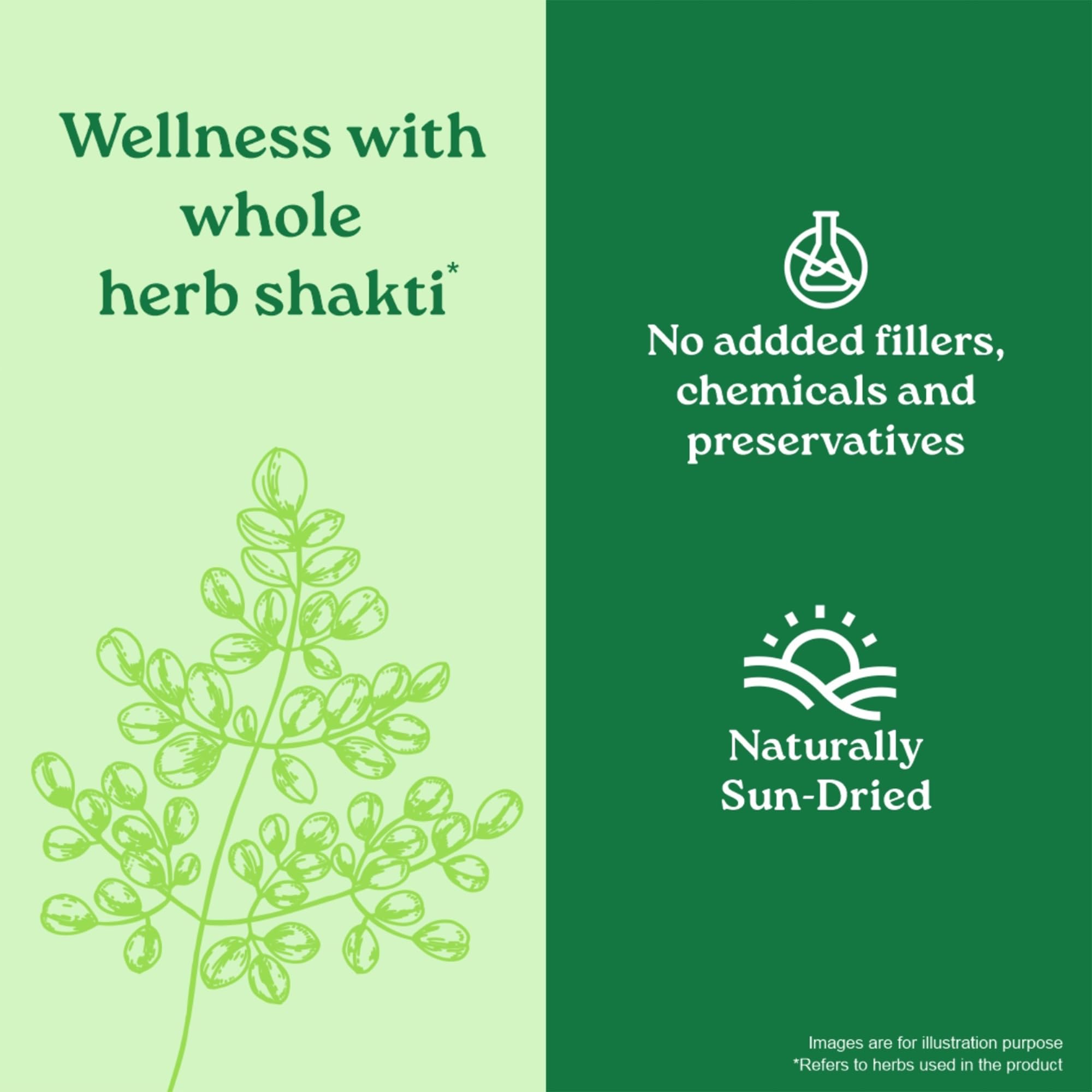ORGANIC INDIA Moringa Powder, 100g, Whole Sun-Dried Leaf, Herbal Supplement - ingredients panel