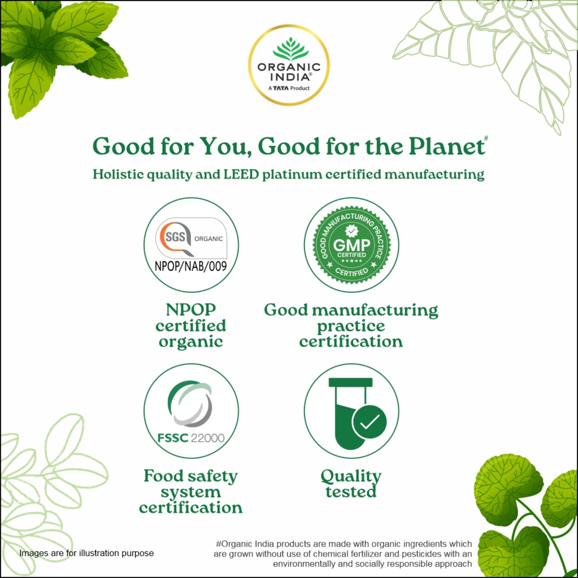 ORGANIC INDIA Moringa Powder, 100g, Whole Sun-Dried Leaf, Herbal Supplement - in use