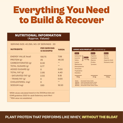 ORIGIN NUTRITION Plant Based Protein Powder, Vegan Pea & Pumpkin Seed, Informed Choice UK Certified - close-up detail (16)