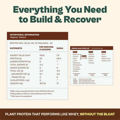 ORIGIN NUTRITION Plant Based Protein Powder, Vegan Pea & Pumpkin Seed, Informed Choice UK Certified - ingredients panel (42)