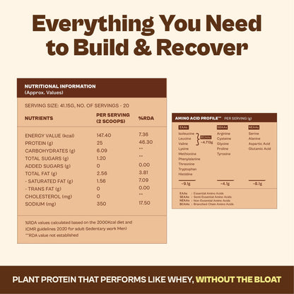 ORIGIN NUTRITION Plant Based Protein Powder, Vegan Pea & Pumpkin Seed, Informed Choice UK Certified - ingredients panel (60)