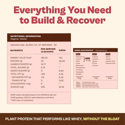 ORIGIN NUTRITION Plant Based Protein Powder, Vegan Pea & Pumpkin Seed, Informed Choice UK Certified - close-up detail