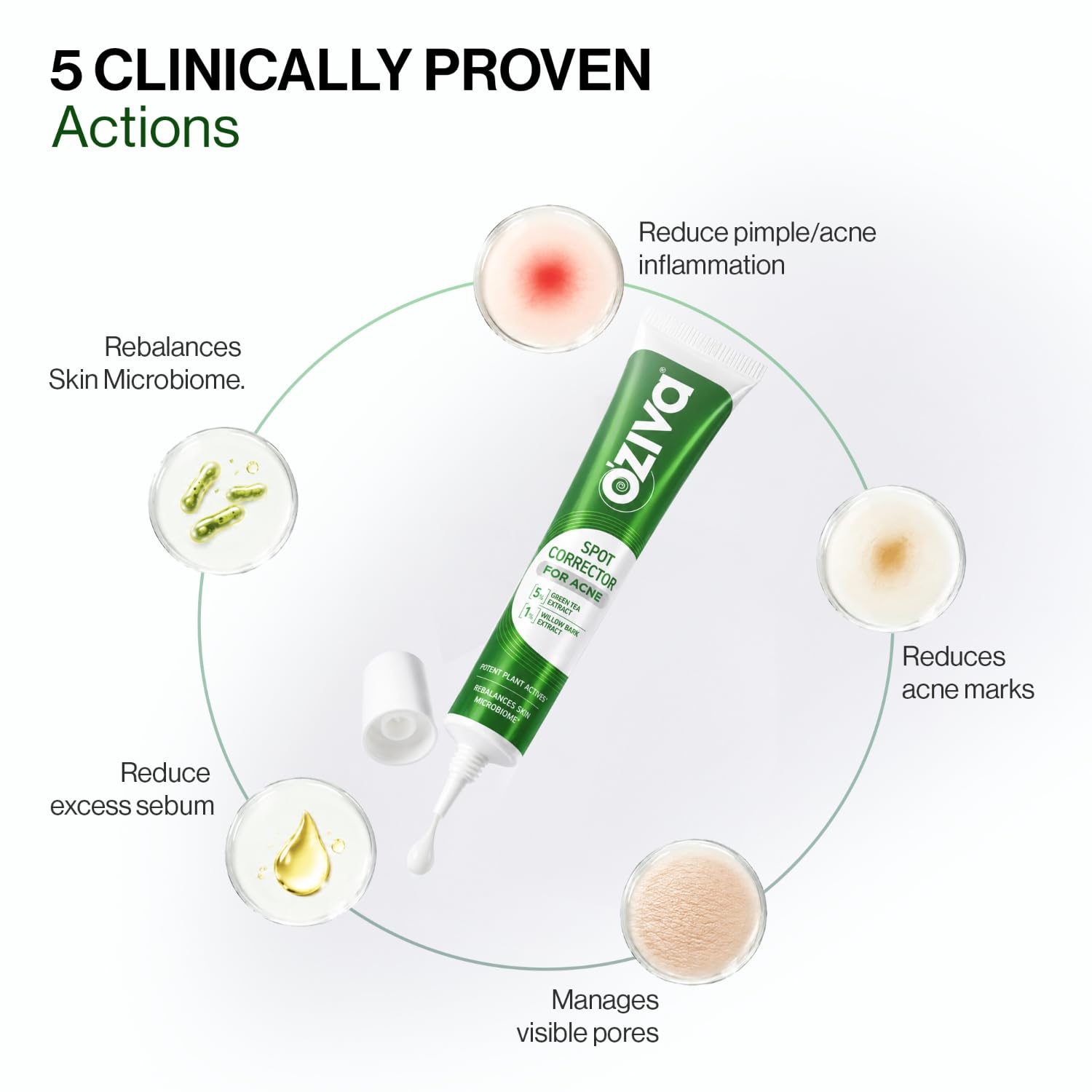 OZiva Acne Spot Corrector Gel, 5% Green Tea Extract, 1% Willow Bark, 20g - ingredients panel