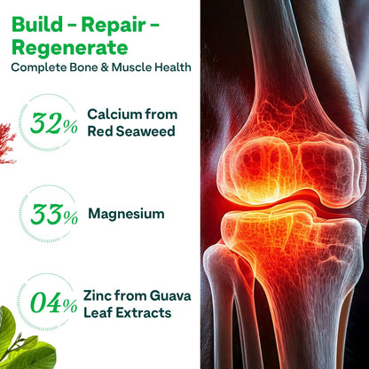 OZiva Calcium Magnesium Zinc Vitamin D3 Adult Mineral Supplement, Plant-Sourced, 60 Caps, 100g - front view