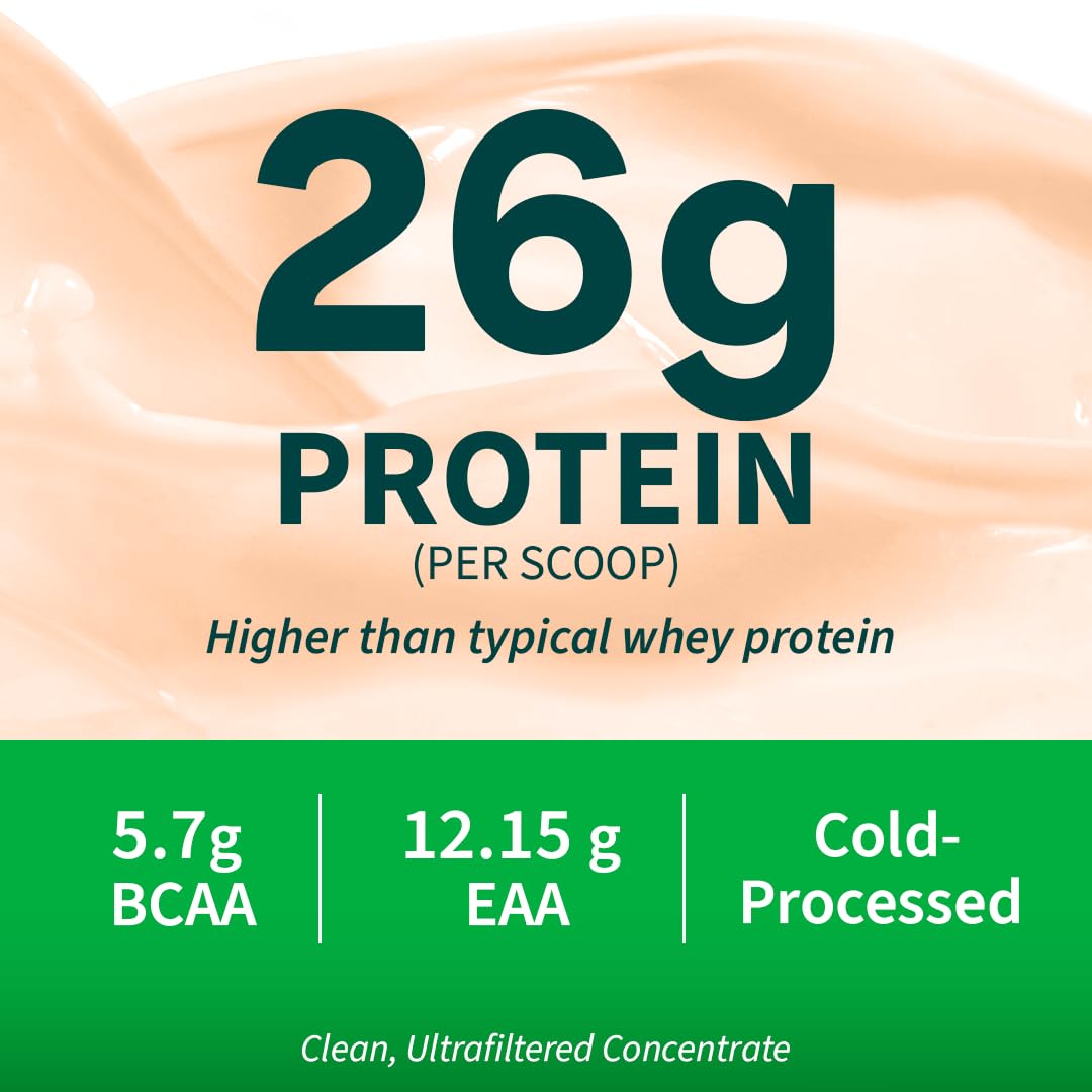 OZiva Clean Whey Coffee Protein Powder, 26g Per Scoop, Cold-Processed Microfiltered, No Added Sugar - back view