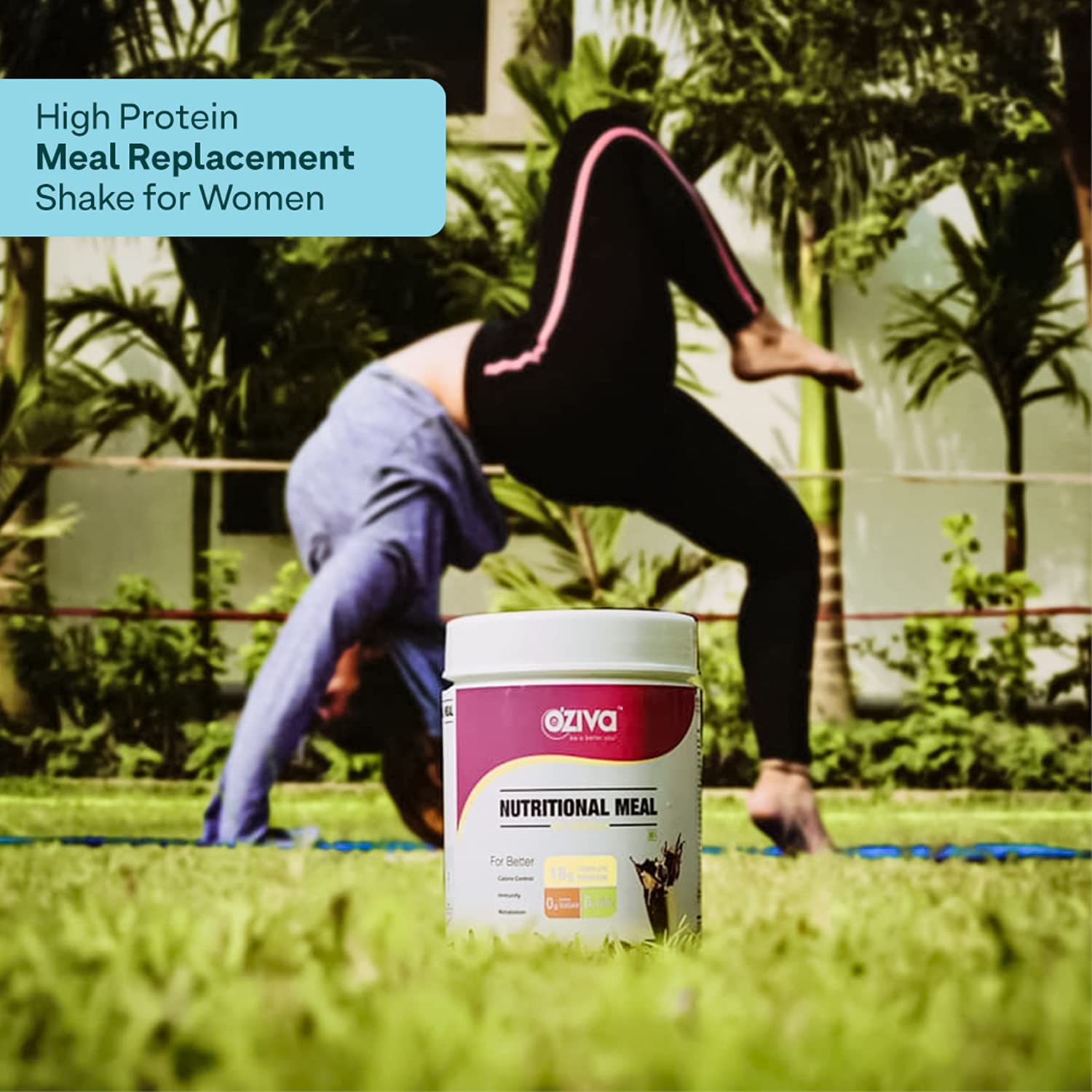 OZiva Nutritional Meal Women High Protein Meal Replacement Shake, Chocolate, 1kg, with Shatavari Brahmi Ginseng Flax Seeds, G