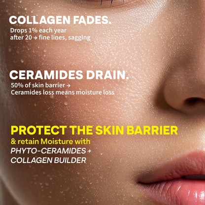 OZiva Phyto Ceramides Collagen Builder, Blueberry, 30 Sachets, Plant-Based Supplement - label detail