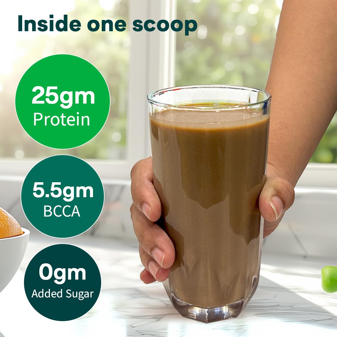 OZiva Plant Protein + Pro-Digest Powder, Pea Protein Isolate, Digestive Enzyme Blend, No Added Sugar, Multiple Sizes - back v