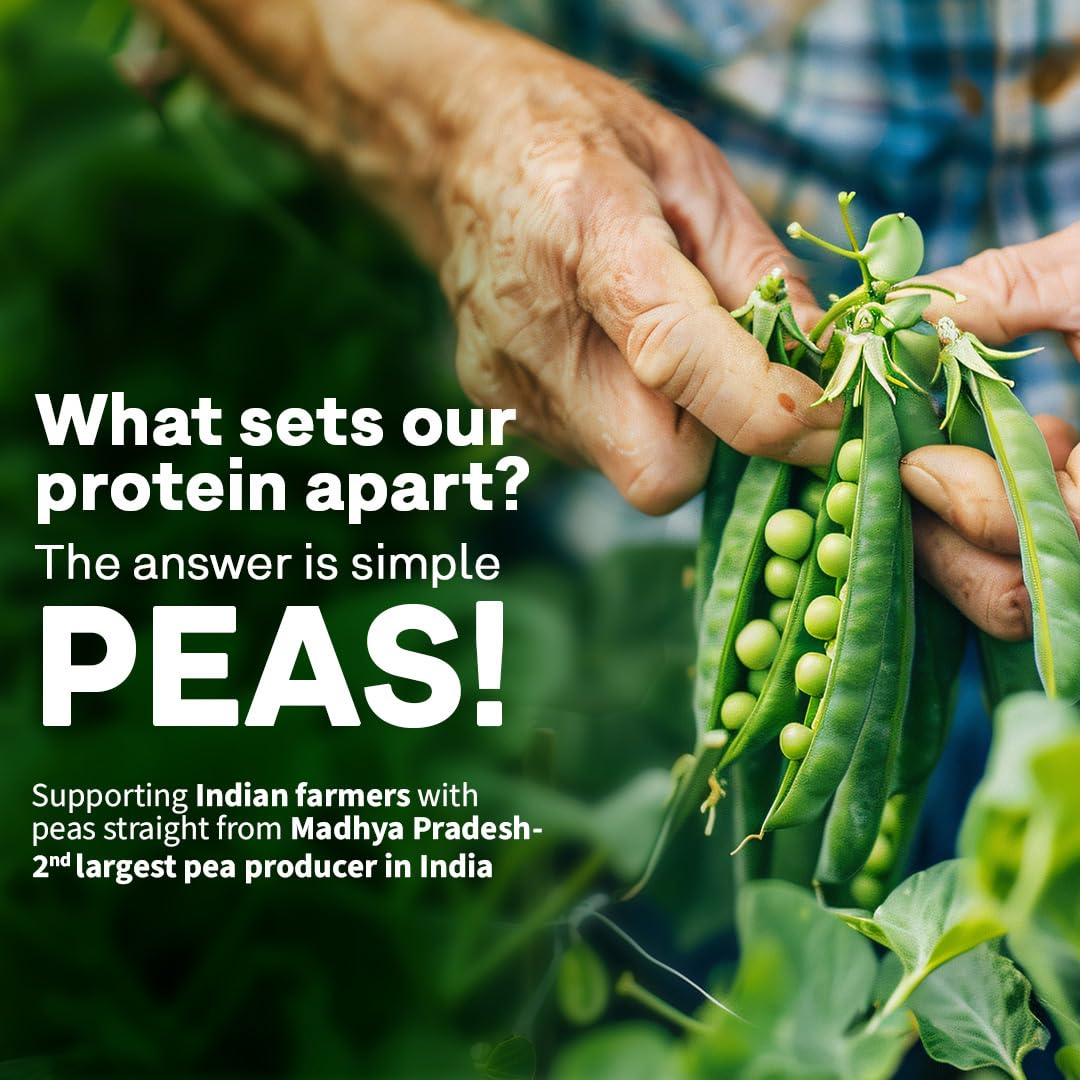 OZiva Plant Protein + Pro-Digest Powder, Pea Protein Isolate, Digestive Enzyme Blend, No Added Sugar, Multiple Sizes - ingred