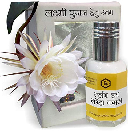 Parag Fragrances Attar Roll-On Perfume, 6ml, Alcohol-Free, Unisex, Pocket-Friendly, Modern - front view (21)