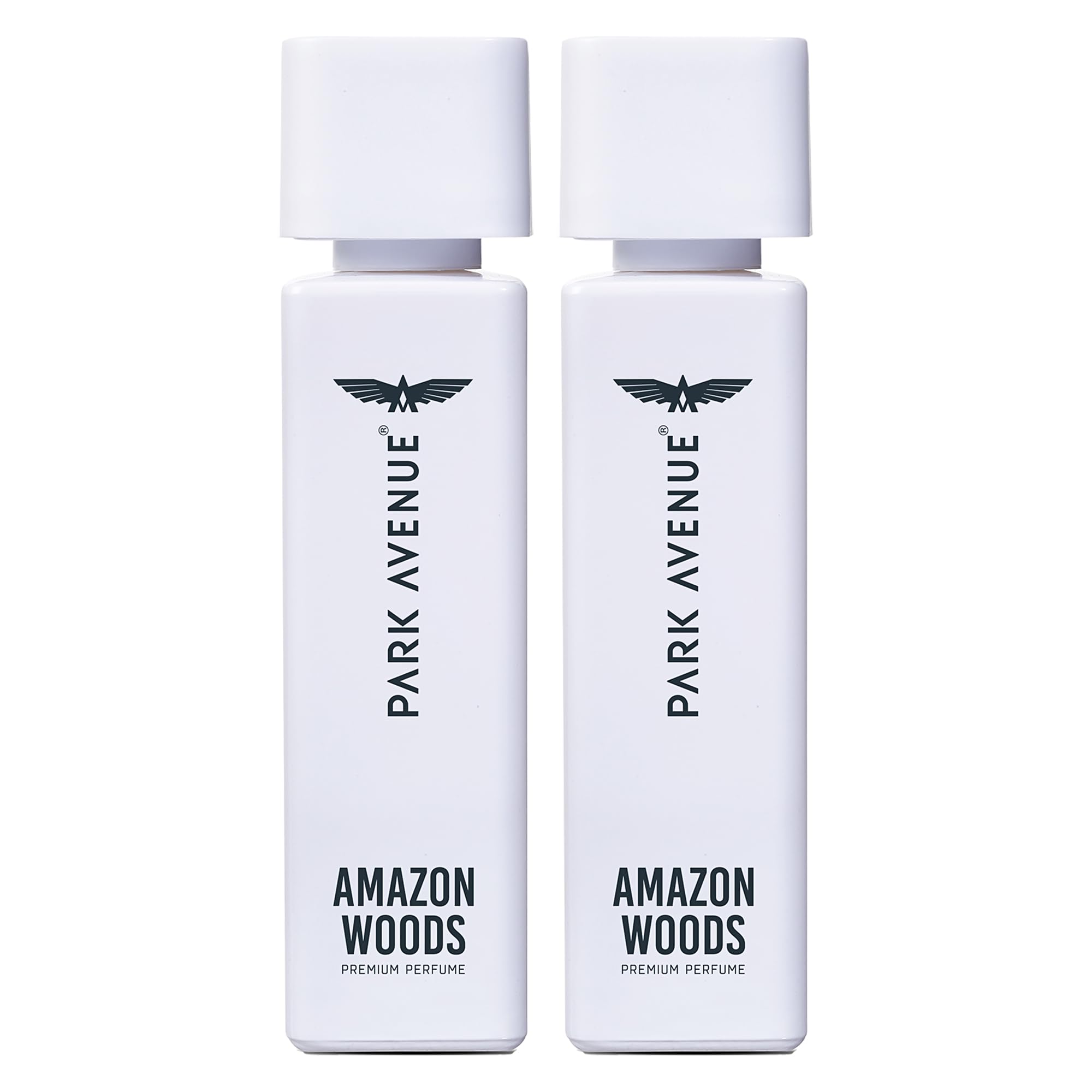 Park Avenue Voyage Signature Collection Amazon Woods Perfume for Men, 120ml Spray - front view (6)
