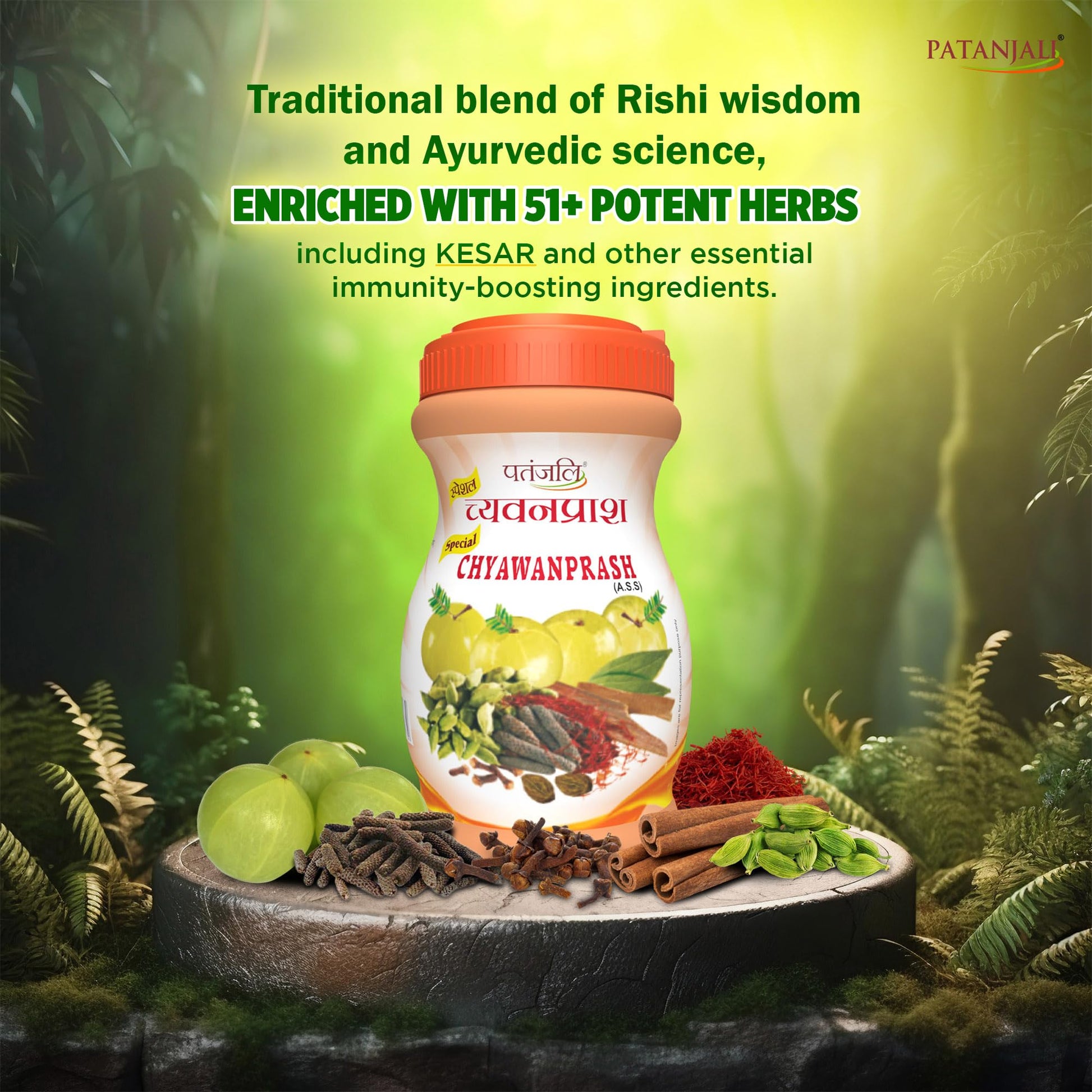 Patanjali Chyawanprash, Herbal Supplement, Traditional Ayurvedic Formula - front view