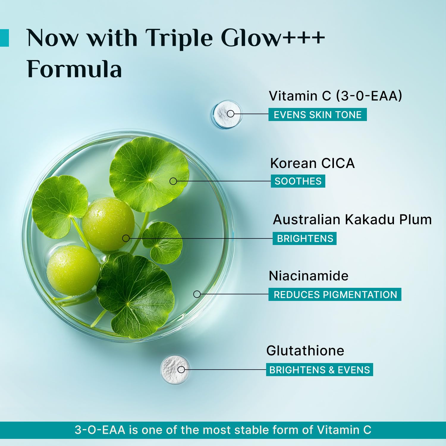 PILGRIM 10% Vitamin C Face Serum with Niacinamide and Kakadu Plum, Unisex Face Serum - label detail