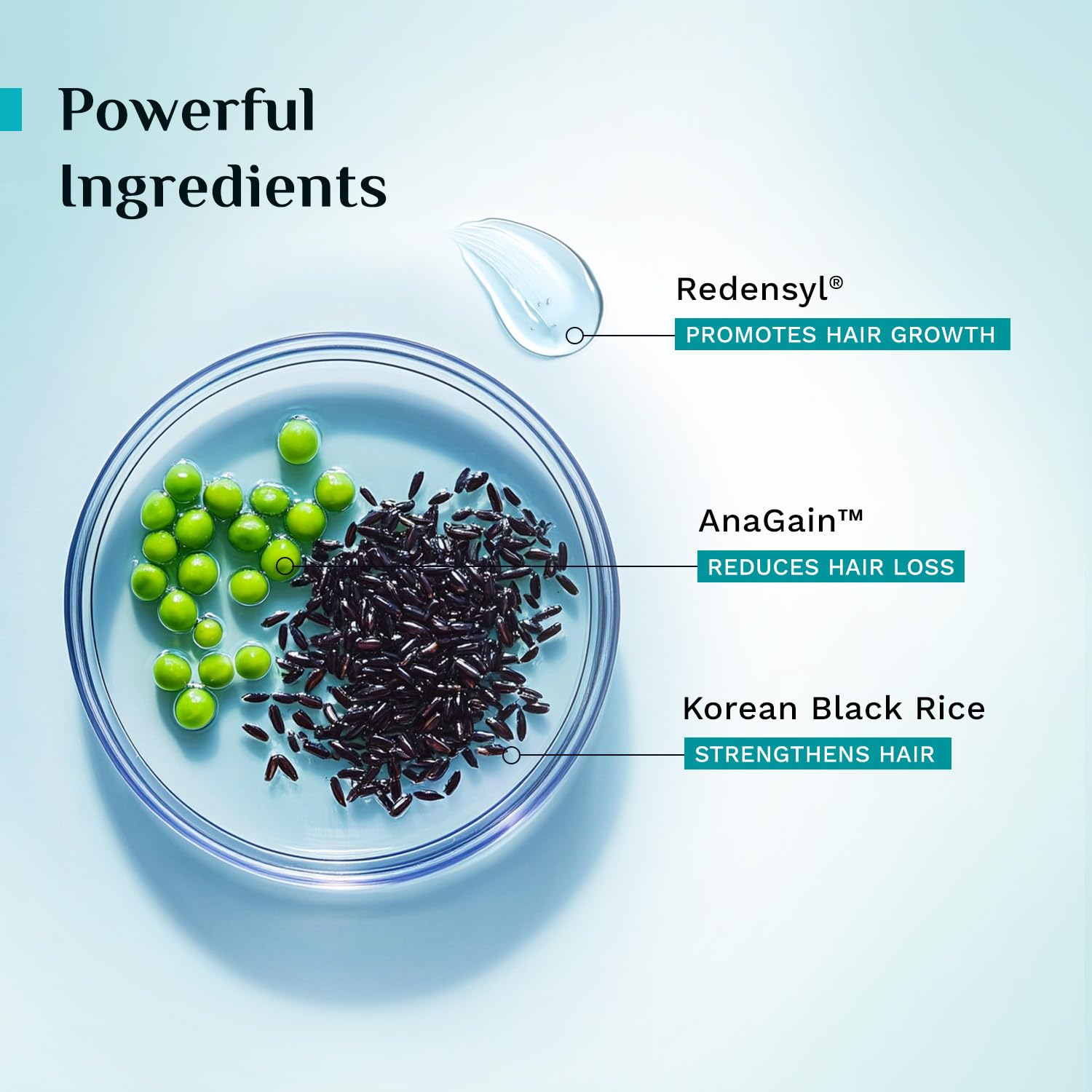 Pilgrim Anti Hairfall Conditioner with Redensyl & Anagain 200ml | Hairfall control conditioner with Black Korean Rice | Parab