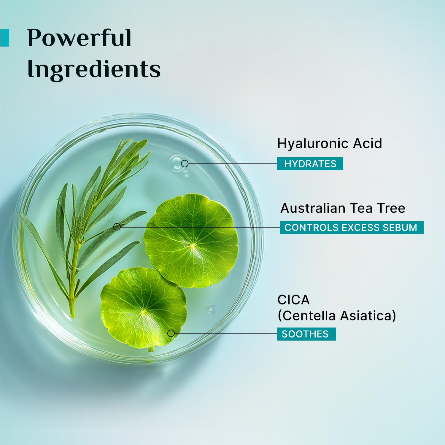 Pilgrim Australian Tea Tree Light Gel Moisturizer, 80g, with Hyaluronic Acid & CICA, for Oily & Acne-Prone Skin - front view