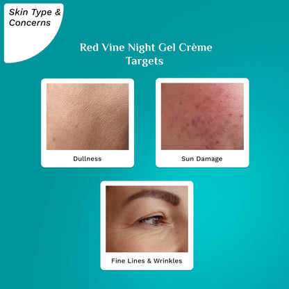 PILGRIM French Red Vine Night Cream for women with Retinol, Mulberry & Vitamin C For Glowing Skin & Skin Repair| Retinol Nigh