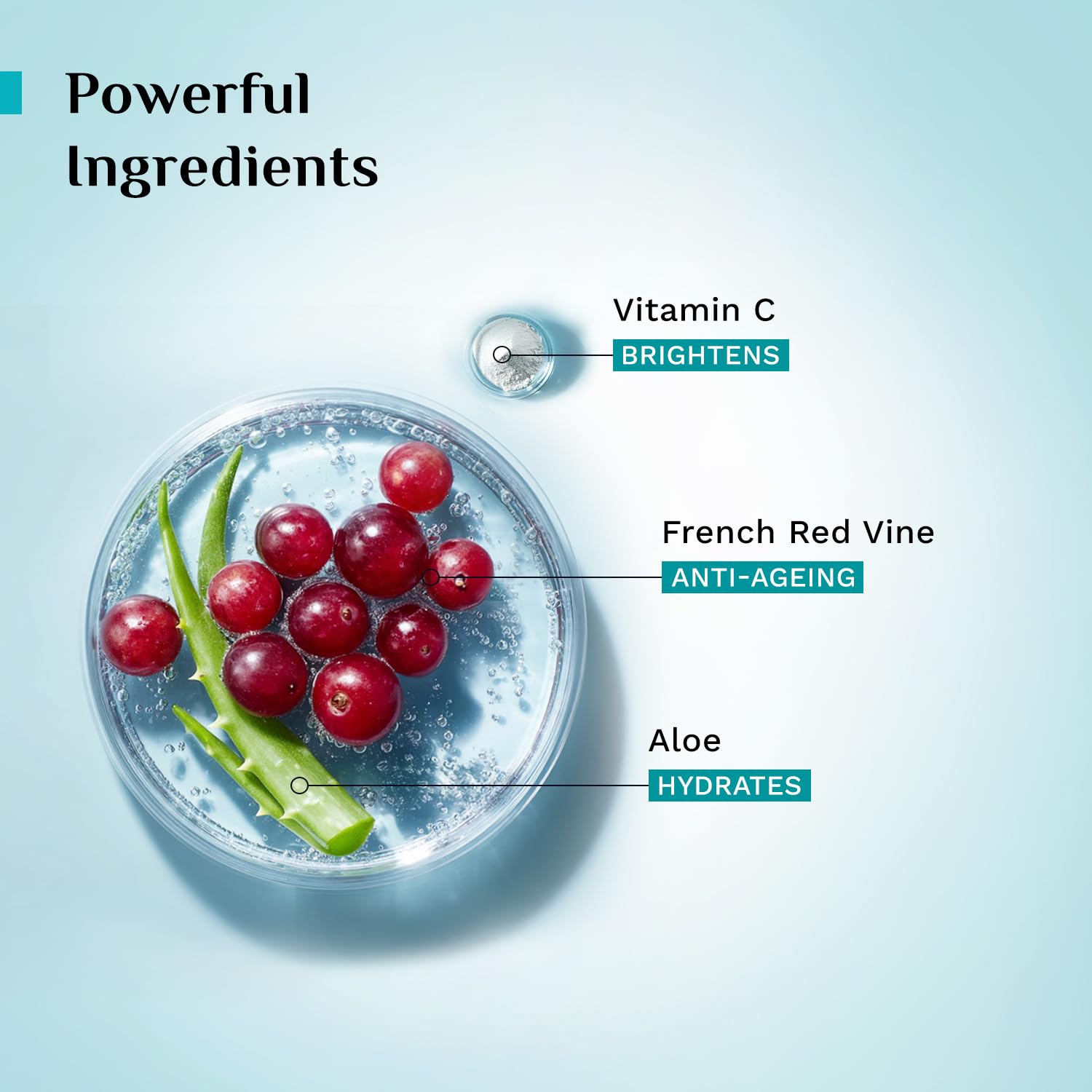 Pilgrim French Red Vine Face Wash, 100ml, Vitamin C, Aloe Vera, Unisex Adult, Paraben-Free, Sulphate-Free - packaging